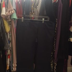 Limited Drew Fit Pants